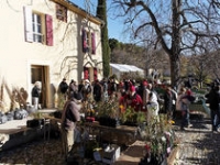 Journée des fruits et saveurs d'autrefois