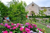 Prieuré du Salagon - Jardin Prieuré du Salagon - Jardin