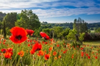 campagne st lazare campagne st lazare