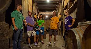 Wine cellars and tastings