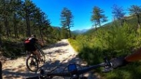 Feel SingleTrack Feel SingleTrack
