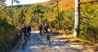 Feel SingleTrack Feel SingleTrack