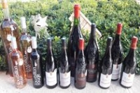 Domaine Tourbillon Domaine Tourbillon