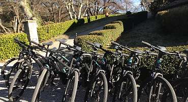 Loueurs et réparateurs de vélos
