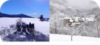 Raquettes à neige Raquettes à neige