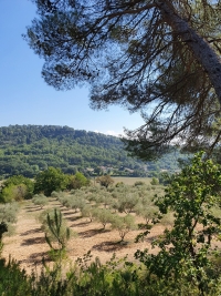 L'oustaou du Luberon L'oustaou du Luberon