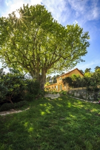 L'oustaou du Luberon L'oustaou du Luberon