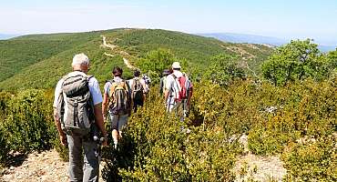 Chemins du Sud - Agence de voyages