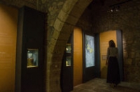 artemisia museum