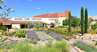 Visite d'usine L'Occitane