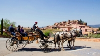 Provence Hippo Services Provence Hippo Services