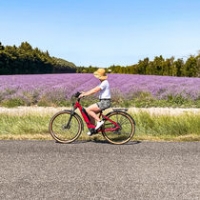 Vélo lavande Vélo lavande