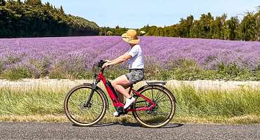  Autour de L'Isle sur la Sorgue à vélo : 36 - Balade sur les rives de la Sorgue