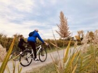Circuit vélo entre vignobles et vergers Circuit vélo entre vignobles et vergers
