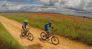 Espace VTT FFC - Provence Verdon - Circuit 08bis - rouge