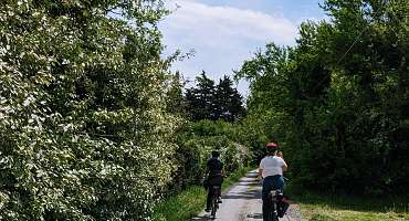 Rando Vaucluse - Balade à vélo de ferme en ferme, dans la plaine comtadine