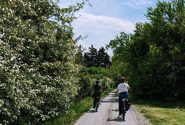 Rando Vaucluse - Balade à vélo de ferme en ferme, dans la plaine comtadine