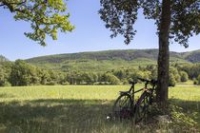 Aire Naturelle du Bois de Sibourg