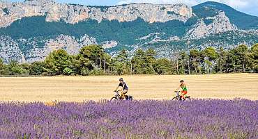 Gravel Bike - Valensole vert