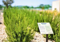 Jardin Usine Occitane Jardin Usine Occitane