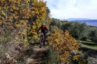 rallye vtt noel rallye vtt noel