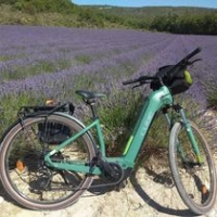 Vélo en Provence