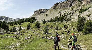 Chemins du Soleil - De Tartonne à Saint-André-les-Alpes - Le Haut Verdon à VTT