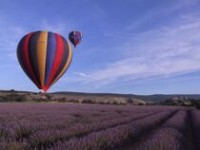 Ballon au dessus d'un champ de lavande