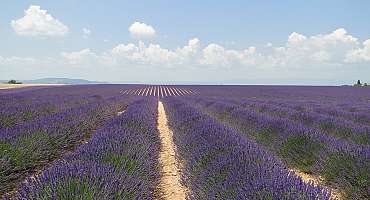 Boucle vélo Verdon - Plateau de Valensole