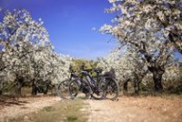 Rent Bike Luberon