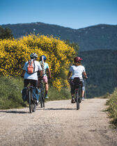 Cycling Around