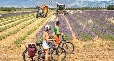 Boucle vélo Verdon - Petit Plateau