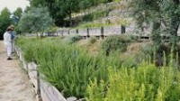 Jardin botanique la Citadelle