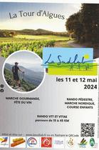 La Sud Lub - Marche, course nature & VTT dans les vignes