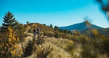 Parcours VTT : La Chalvet et sa forêt - EN