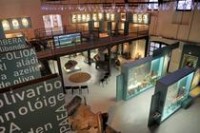 Intérieur Ecomusée l'Olivier Intérieur Ecomusée l'Olivier