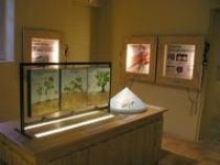 Exposition permanente Exposition permanente