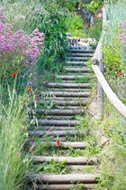 vue du jardin vue du jardin