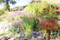 Le jardin sec Le jardin sec