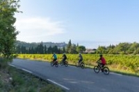 Sortie au coeur des vignobles