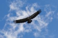 La Route des Crêtes - Le Grand Canyon - Espace cyclosport_La Palud-sur-Verdon