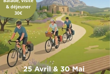 Cyclo'ride : La métropole à vélo 2026