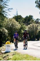 C'est ton Tour - Parcours heritage du Tour de France en Vaucluse_L'Isle-sur-la-Sorgue