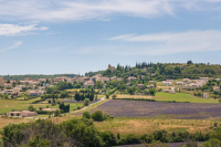 Montagne de Lure Lavandes