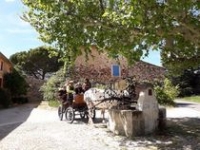 Provence Hippo Services Provence Hippo Services