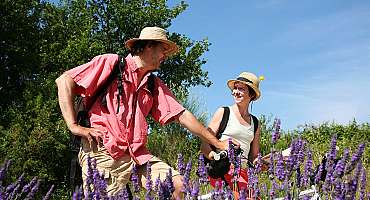 On the freewheel by bike in the heart of the Luberon