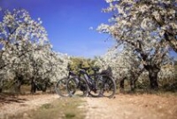 Luberon Bike Shop Luberon Bike Shop