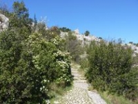 Colline Saint Jacques