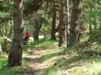 Grand Tour du Pays de Forcalquier en VTT