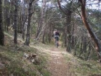 Grand Tour du Pays de Forcalquier en VTT